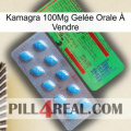 Kamagra 100Mg Gelée Orale À Vendre new03